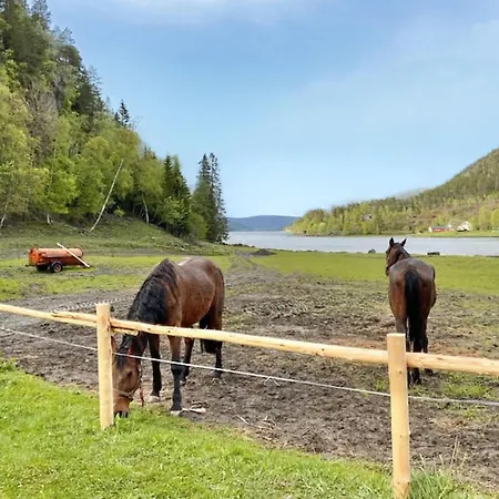 Hébergement de vacances 5 Bedroom In *